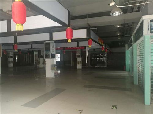 河源市廠房安全檢測鑒定機(jī)構(gòu) 創(chuàng)新技術(shù)指導(dǎo)助力企業(yè)安全生產(chǎn)，筑牢工業(yè)發(fā)展基石